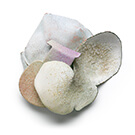 THE EARTH TELLS A STORY BEFORE WE DO # 2 - kaori juzu